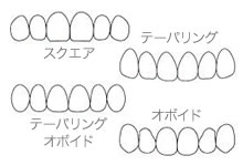 歯の形態