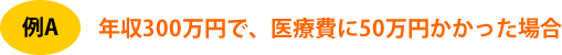 年収300万円で、医療費に50万円かかった場合